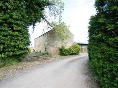 Picture 6